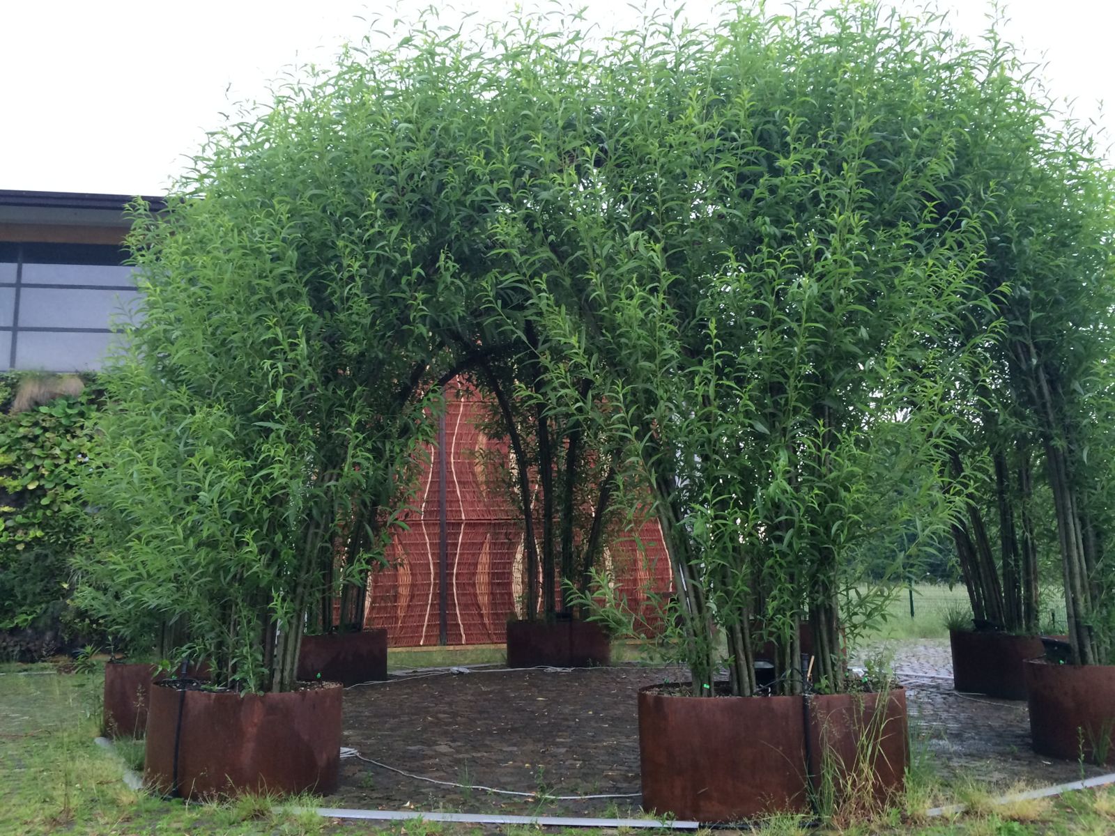 Grandi fioriere curve in corten